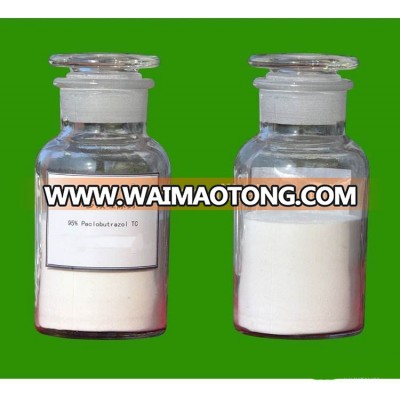 Paclobutrazole 95%TC and 15%WP,plant growth regulator